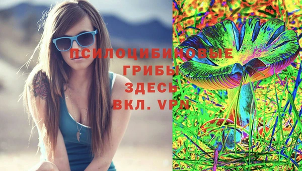 амф Анива