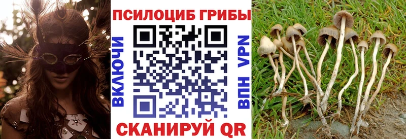 Псилоцибиновые грибы ЛСД  гидра ONION  Буинск 